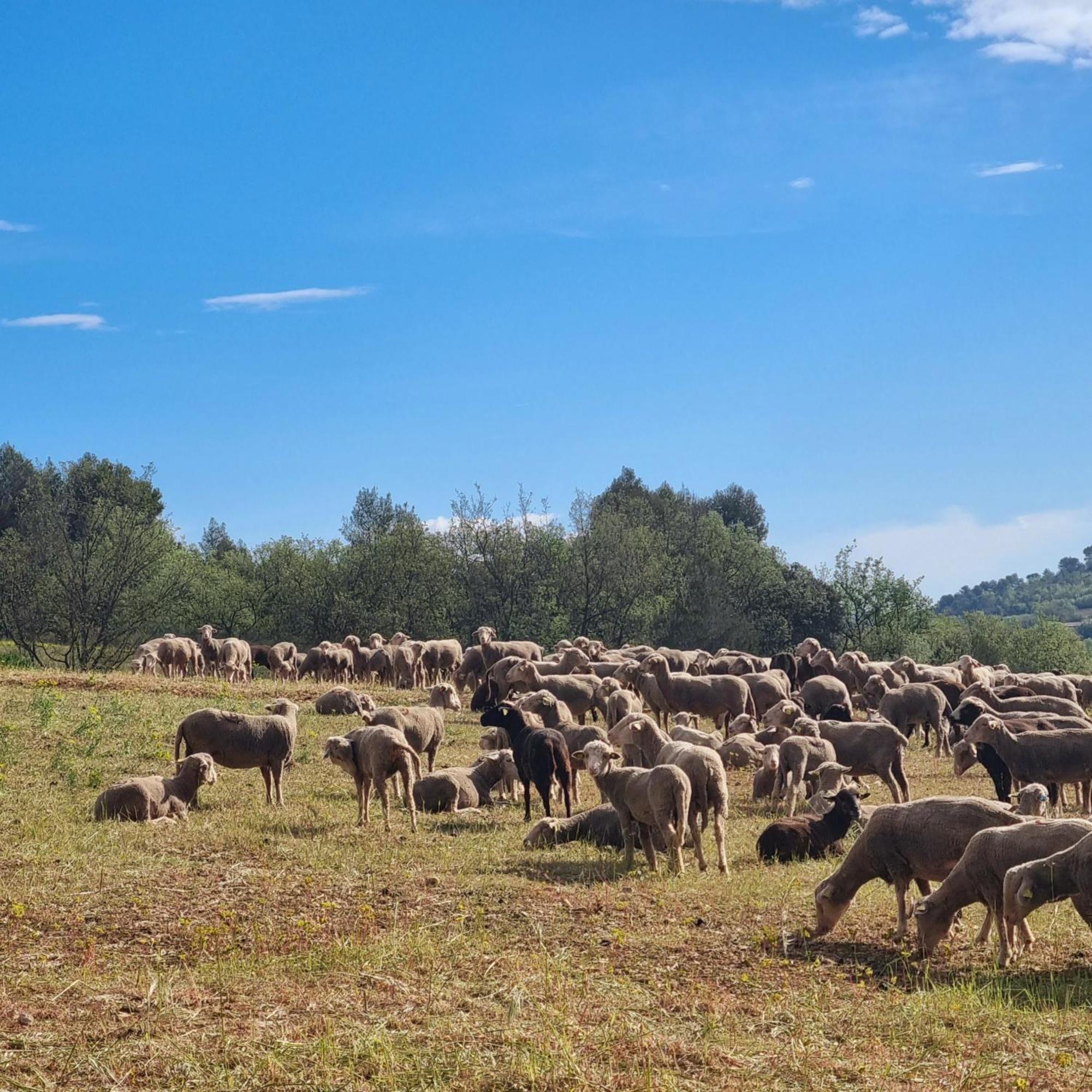 L'Oustaou Du Luberon Et Spa Villelaure Экстерьер фото