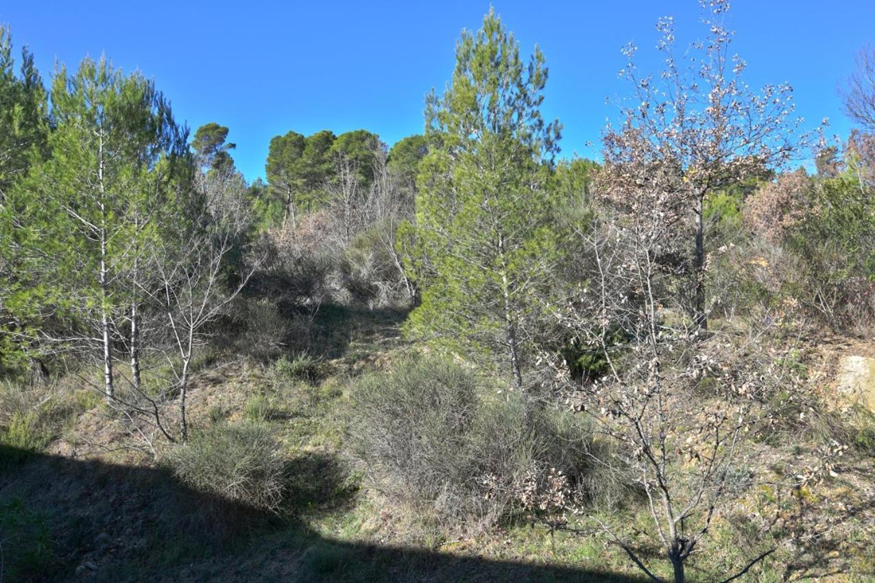 L'Oustaou Du Luberon Et Spa Villelaure Экстерьер фото