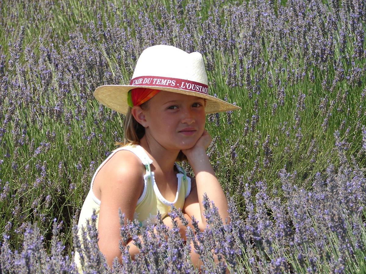 L'Oustaou Du Luberon Et Spa Villelaure Экстерьер фото